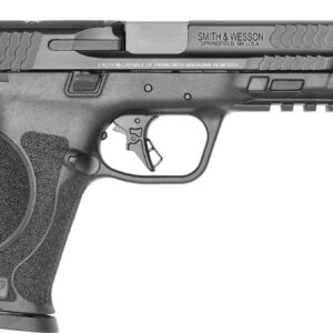 Smith & Wesson M&P9 M2.0 9mm Striker-Fired Pistol 4.625" Threaded Barrel Optic Ready 17+1