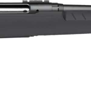 Savage Axis II bolt-action rifle in .30-06 Springfield with gray synthetic stock and 22-inch barrel