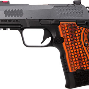 Kimber CDS9 TFS 9mm Semi-Auto Pistol – Gray/Black, 15+1, Optic Ready, Threaded Barrel