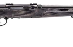 SAVAGE A17 17HMR HVY BBL 22" - ACCU TGR BLU/GRY LAM T-HOLE