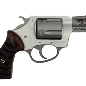 Charter Arms Coyote .380 ACP stainless revolver with 2-inch barrel, right-side profile view