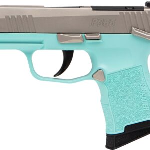 SIG P365 MIC COMP 380ACP 3.1" - XRAY3 OR (2)10RD ROB EGG/NICK