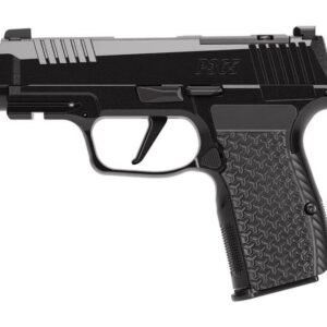 SIG P365 AXG LUXE 380ACP 3.1" - 2-PORT XRAY3 (3)12RD BLACK