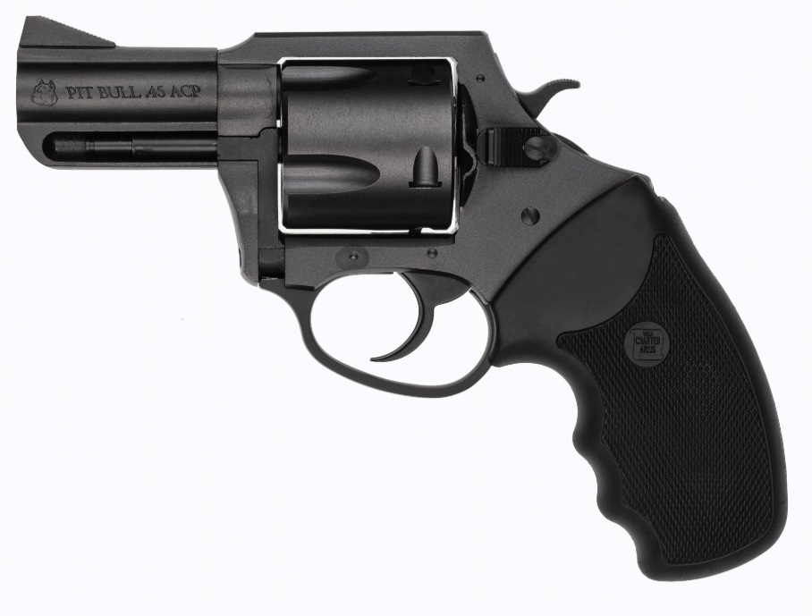 Charter Arms Mag Pug .357 Magnum revolver with 2.2-inch barrel and black nitride finish, right-side profile view