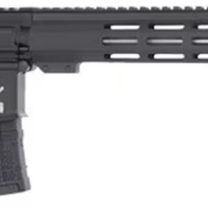 GLFA AR15 450 BUSHMASTER - 18" S/S BBL BLACK