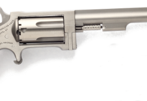 North American Arms Sidewinder NAA-SW-4 stainless single-action revolver in .22 Magnum with 4-inch barrel