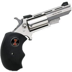 North American Arms Black Widow NAA-BWC stainless 2-inch .22 Magnum single action mini-revolver