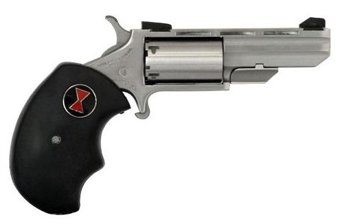 North American Arms Black Widow .22 LR 2-inch stainless steel single action revolver, right side view