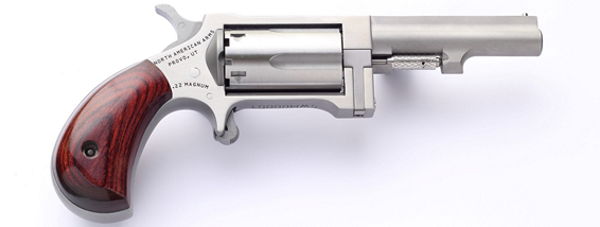 North American Arms Sidewinder .22 Magnum 2.5-inch stainless single-action mini-revolver, right side view
