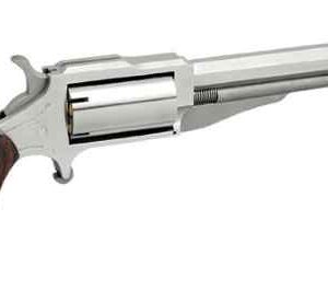 North American Arms The Earl single-action revolver in .22 Magnum with 4-inch stainless barrel, right-side profile view