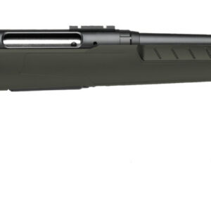 Savage Arms Axis II bolt-action rifle in .243 Winchester with 22-inch barrel and black and green stock