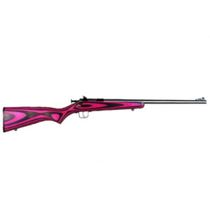 Keystone Sporting Arms Crickett KSA2226 .22 LR youth single-shot rifle with stainless steel barrel and pink laminate stock