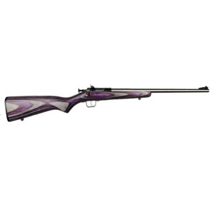 Keystone Sporting Arms Crickett .22 LR single-shot youth rifle with stainless barrel and purple laminate stock
