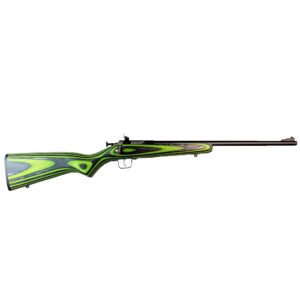 Keystone Sporting Arms Crickett .22 LR single shot rifle with blued barrel and black-green laminate stock, right-side view