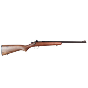 Keystone Sporting Arms Crickett .22 LR single-shot youth rifle with blued barrel and walnut stock, right-side view