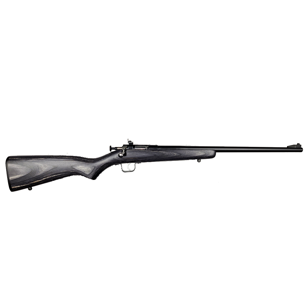 Keystone Sporting Arms Crickett KSA2244 .22 LR youth bolt-action rifle with blued barrel and black laminate stock