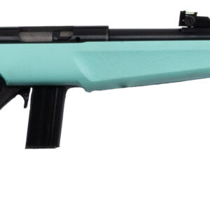 Rossi RB22 Compact .22 LR bolt-action youth rifle in black with 16-inch barrel and fiber optic sights