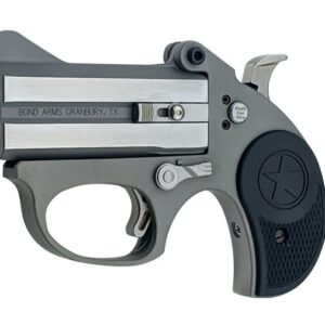 Bond Arms Stinger .22 LR stainless derringer with 3-inch barrel and crossbolt safety, right side view