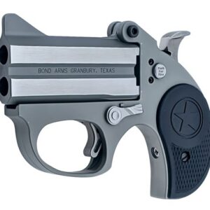 Bond Arms Stinger .380 ACP stainless steel derringer with 3-inch barrel, break-open action, shown closed