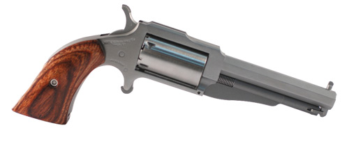 North American Arms The Earl single action revolver in stainless steel with 3-inch barrel and 5-shot cylinder