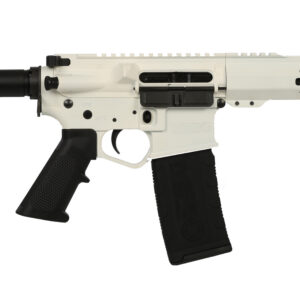 Wise Arms WA-15B 5.56 NATO AR-15 pistol with 10.5-inch barrel and SBA3 brace in white finish