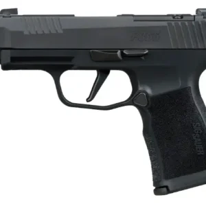 SIG SAUER P365XL COMP 380ACP PISTOL 3.1" X SERIES, O.R. 2-10RD MAG