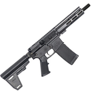 223WYLDE PSTL W/BRC 30RD BLK