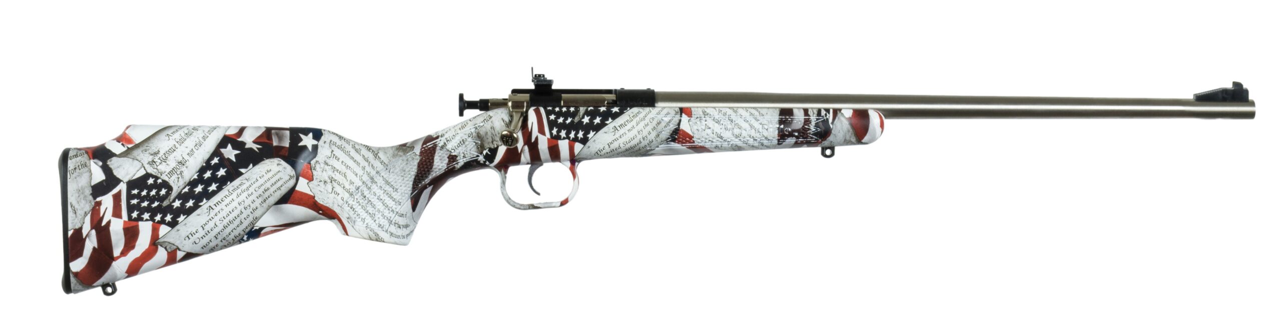 Keystone Sporting Arms Crickett Amendment single-shot .22 LR bolt-action youth rifle in stainless finish, right-side profile