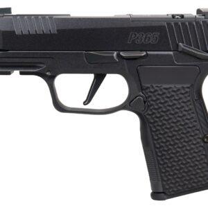 SIG SAUER P365 AXG LUXE 380ACP MS CA