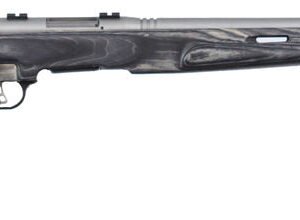 Savage B.Mag bolt action rifle in .17 WSM with matte stainless barrel and brown laminate stock