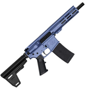 223WYLDE PSTL W/BRC 30RD PUR