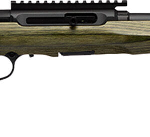 SAV A22 TIMBER TCTL 22LR 18B
