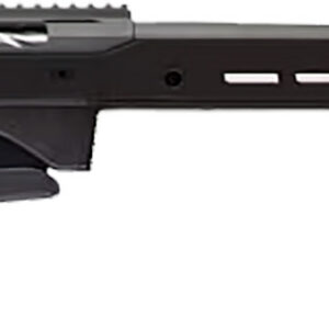 BTA TIKKA T3X ACE TRGT 223 10